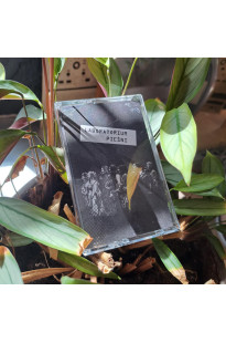 Laboratorium Pieśni - Koncert u Pani Kasi